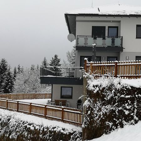 Appartement Franz ツェル・アム・ツィラー エクステリア 写真