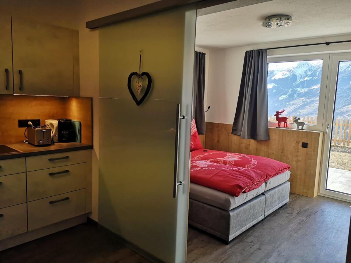 Appartement Franz ツェル・アム・ツィラー エクステリア 写真